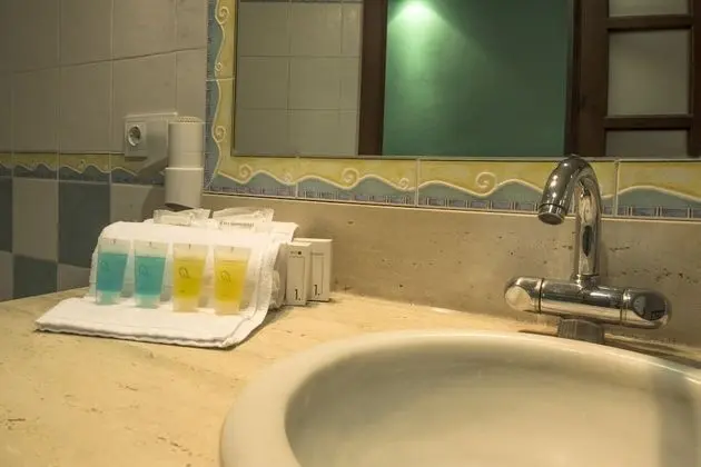 Tek Büyük Yataklı Oda (Rollaway bed)