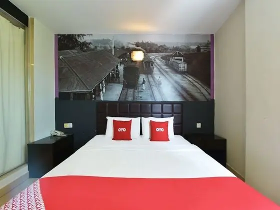 Deluxe Tek Büyük Yataklı Oda, 1 Büyük (Queen) Boy Yatak