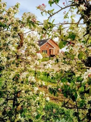 Villa, 4 Yatak Odası