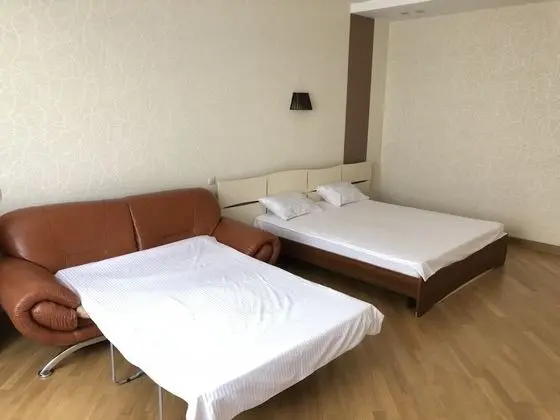 Premium Tek Büyük Yataklı Oda, 1 En Büyük (King) Boy Yatak