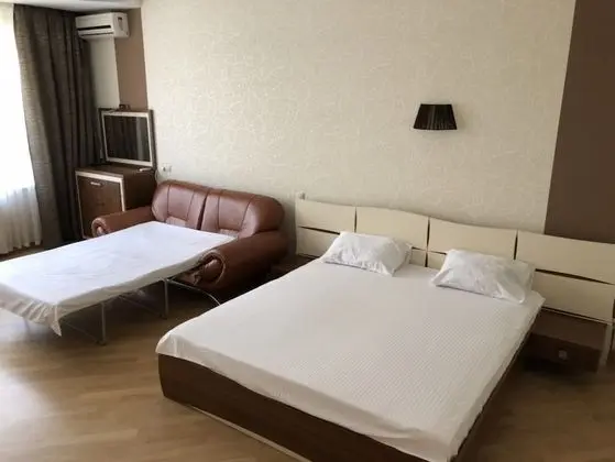 Premium Tek Büyük Yataklı Oda, 1 En Büyük (King) Boy Yatak