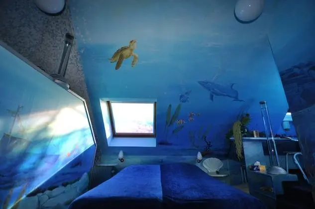 Exclusive Tek Büyük Yataklı Oda (Theme Room)