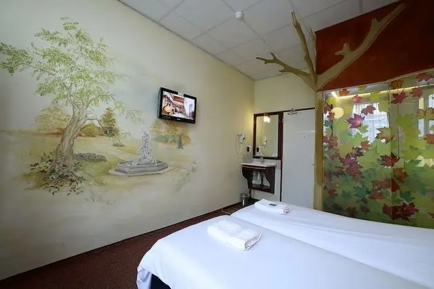 Standard Tek Büyük Yataklı Oda (Plataanroom twin)