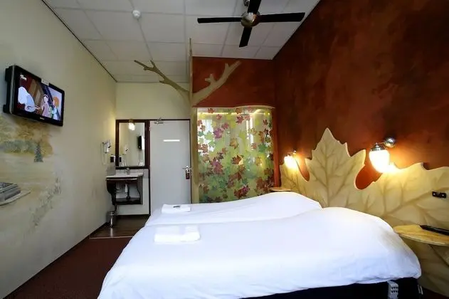 Standard Tek Büyük Yataklı Oda (Plataanroom twin)