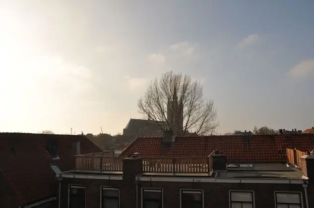 Standard Tek Büyük Yataklı Oda (Plataanroom twin)