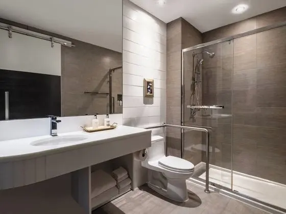 Grand Oda, 1 En Büyük (King) Boy Yatak, Engellilere Uygun (Mobility, Transfer Shower)