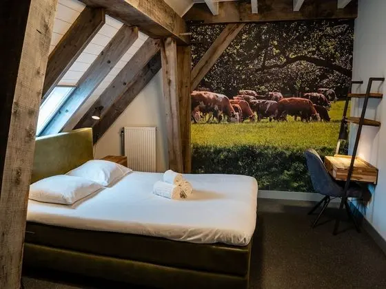 Deluxe Tek Büyük Yataklı Oda (Bed & Breakfast Large)