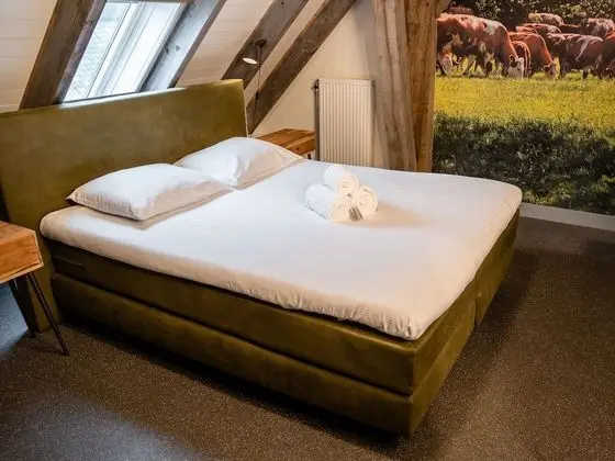 Deluxe Tek Büyük Yataklı Oda (Bed & Breakfast Large)
