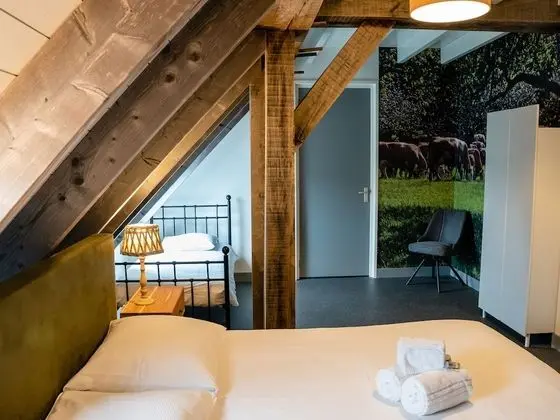 Deluxe Tek Büyük Yataklı Oda (Bed & Breakfast Large)