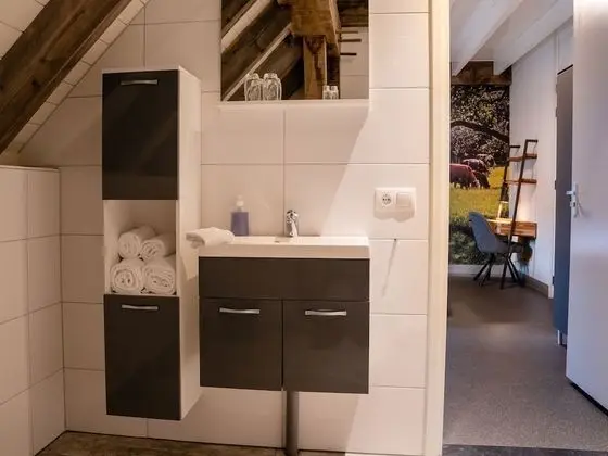 Deluxe Tek Büyük Yataklı Oda (Bed & Breakfast Large)