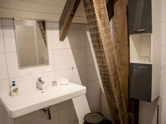 Deluxe Tek Büyük Yataklı Oda (Bed & Breakfast Large)