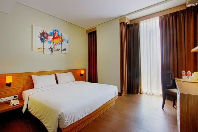 Deluxe Tek Büyük Yataklı Oda