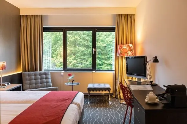 Comfort Tek Büyük Yataklı Oda, 1 Çift Kişilik Yatak