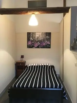 Family Stüdyo, 2 Yatak Odası, Mutfak, Bahçe Manzaralı