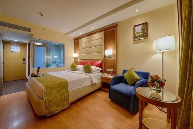 Deluxe Tek Büyük Yataklı Oda, 1 Yatak Odası, Şehir Manzaralı