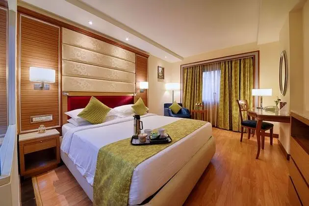 Deluxe Tek Büyük Yataklı Oda, 1 Yatak Odası, Şehir Manzaralı