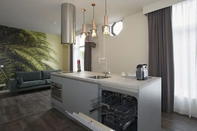 Deluxe Stüdyo, 1 En Büyük (King) Boy Yatak, Şehir Manzaralı