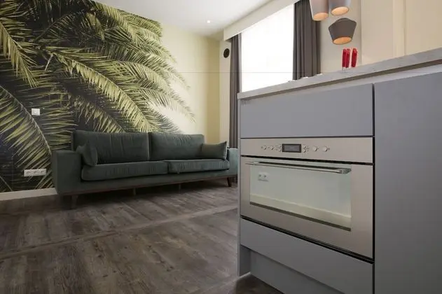 Deluxe Stüdyo, 1 En Büyük (King) Boy Yatak, Şehir Manzaralı