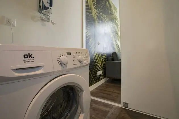 Deluxe Stüdyo, 1 En Büyük (King) Boy Yatak, Şehir Manzaralı