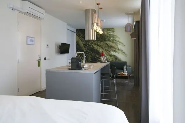 Deluxe Stüdyo, 1 En Büyük (King) Boy Yatak, Şehir Manzaralı