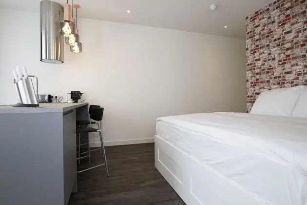 Deluxe Stüdyo, 1 En Büyük (King) Boy Yatak, Şehir Manzaralı