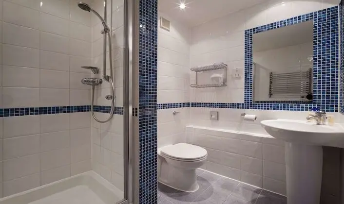 Standard Tek Büyük Yataklı Oda (Horsley Place)