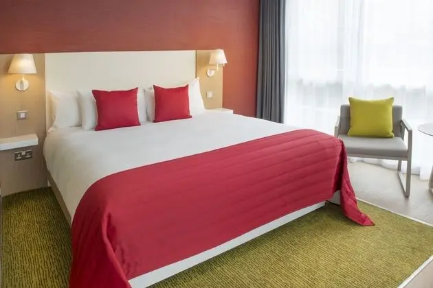 Superior Tek Büyük Yataklı Oda