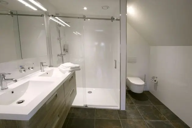 Deluxe Çatı Katı (Loft), Şehir Manzaralı