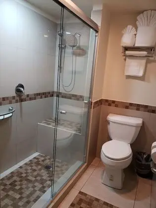 Deluxe Dört Kişilik Oda