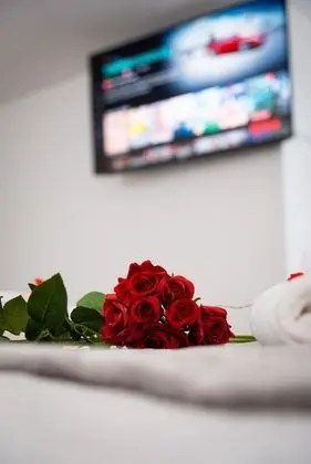 Luxury Apart Daire, Banyolu/Duşlu, Park Manzaralı (Romantic )