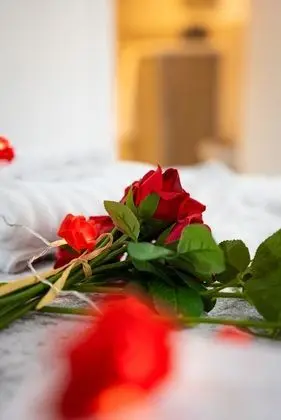 Luxury Apart Daire, Banyolu/Duşlu, Park Manzaralı (Romantic )