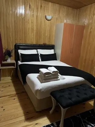 Klasik Oda - Dağ Manzaralı