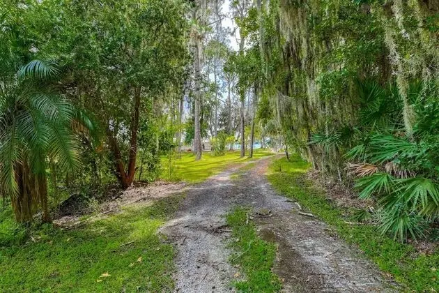 Ev (Debra Jean's River Retreat)