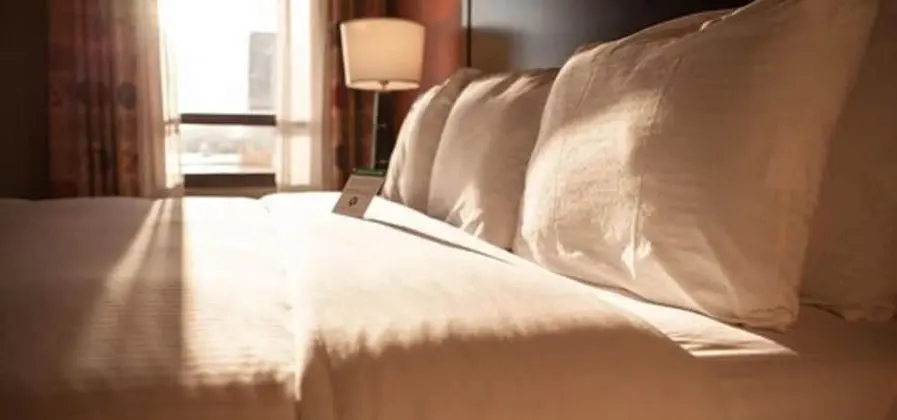 Business Oda, 1 En Büyük (King) Boy Yatak