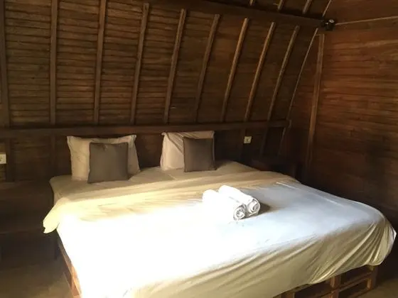 Deluxe Tek Büyük veya İki Ayrı Yataklı Oda