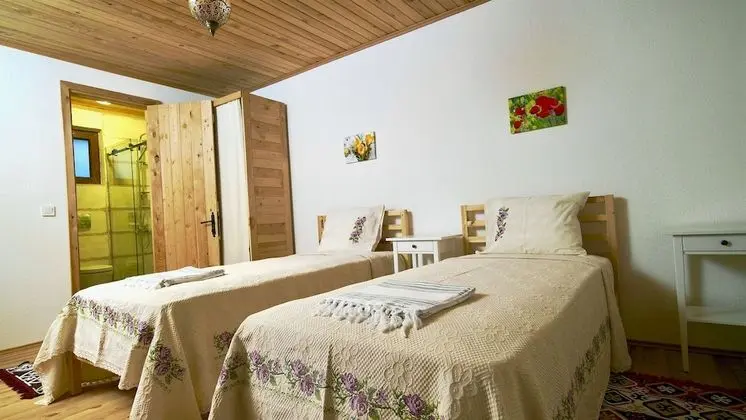 Classic İki Ayrı Yataklı Oda, Dağ Manzaralı
