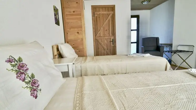 Classic İki Ayrı Yataklı Oda, Dağ Manzaralı