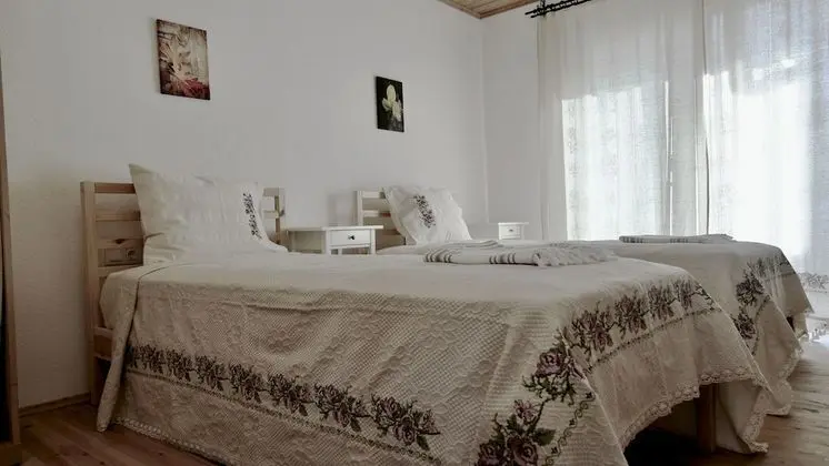 Classic İki Ayrı Yataklı Oda, Dağ Manzaralı