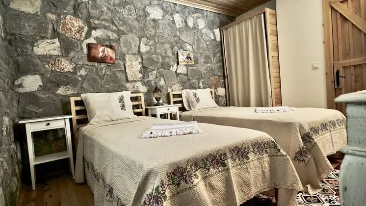Deluxe Tek Büyük Yataklı Oda, 1 Büyük (Queen) Boy Yatak, Dağ Manzaralı, Bahçeli