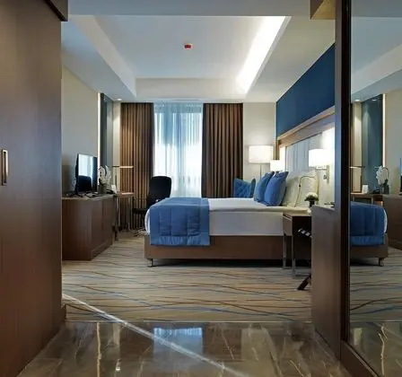Deluxe Tek Büyük Yataklı Oda, Şehir Manzaralı