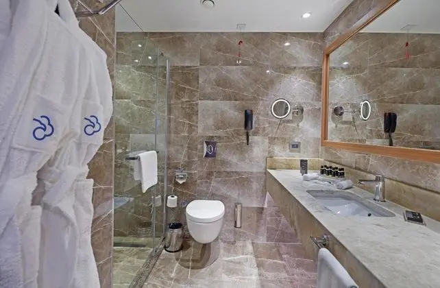 Superior Şehir Manzaralı Oda