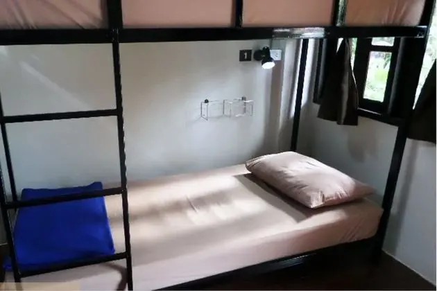 Bed in Mixed Dormitory with Fan