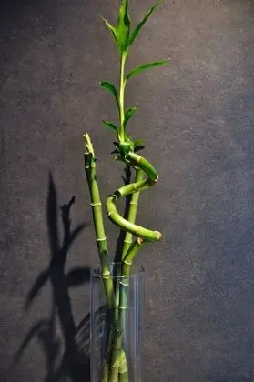 Design Tek Büyük Yataklı Oda, Balkon, Dağ Manzaralı