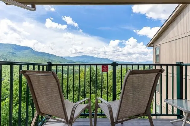 Daire, 1 En Büyük (King) Boy Yatak ve Çekyat, Balkon, Dağ Manzaralı (#D302)