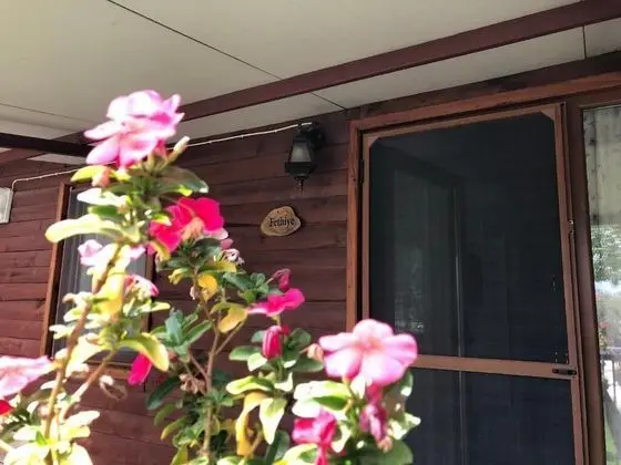 Teras/veranda