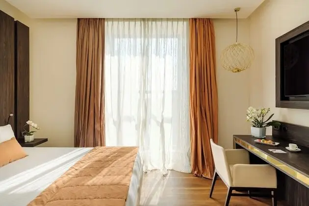 Executive Tek Büyük veya İki Ayrı Yataklı Oda