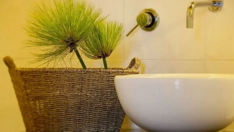 Standard Tek Büyük Yataklı Oda, 2 Tek Kişilik Yatak, Bahçe Manzaralı