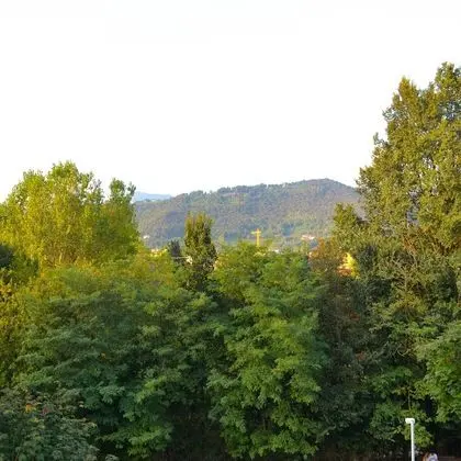 Comfort Apart Daire, 1 Yatak Odası (Maestrale)