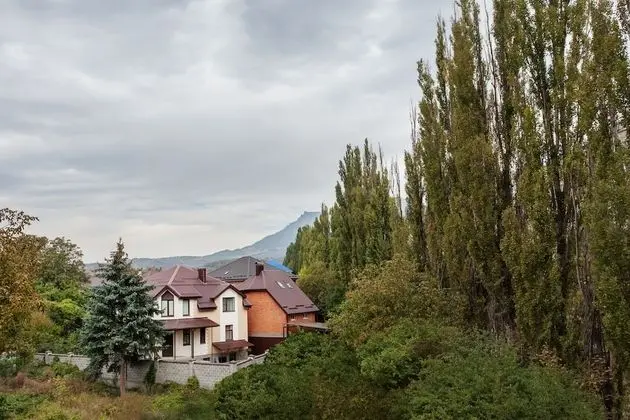 Süit