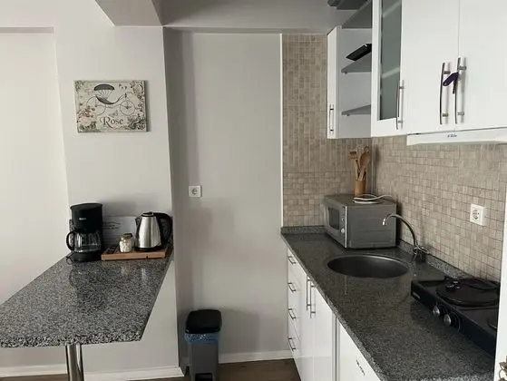 Basic Apart Daire, 1 Çift Kişilik Yatak, Sigara İçilmez